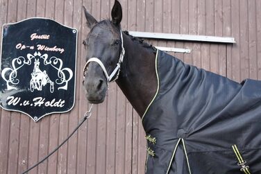 Зимова кінська попона time4horses з високим коміром, утеплена 200 г, водонепроникна, 1200D