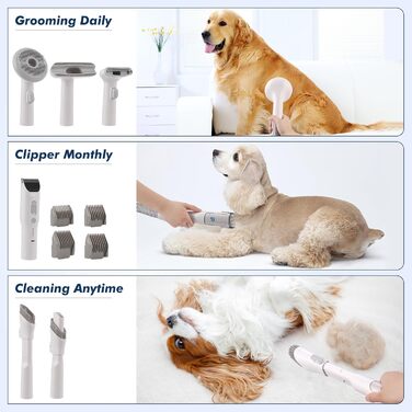 Набір для догляду за собаками Vacuum, 13,4 кПа потужність всмоктування, пилосос для видалення шерсті, догляд за шерстю тварин, об'єм 2 л, зберігання шерсті, 5 професійних інструментів для догляду за собаками та котами