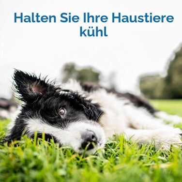 Охолоджувальний килимок для собак та котів TheGreenPetShop XL, самоактивуючий гель-мат для великих домашніх тварин (до 36 кг), шавлія/сірий
