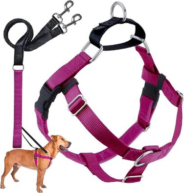 Шлея для собак 2 Hounds Design Freedom No-Pull, комплект для дресирування з повідком, 5/8 дюйма, M, чорна