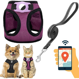 колір: віолетта