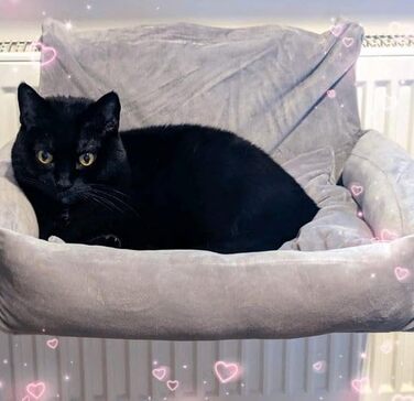 Килимок для котів на радіатор PataGrande, сірий, з м'яким подушками, машинного прання