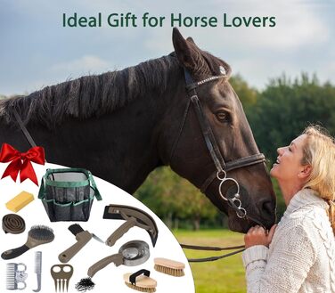 Набір для догляду за конем TERPUP, 13 предметів: щітки, стріжки, органайзер. Ідеальний подарунок для вершників та початківців.