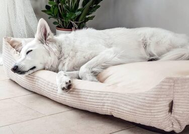 М'яке ліжко для собак 4L Textil Molly - зручне собаче ліжко-корзинка, 60x40 см, бежеве. Знімна та пральна наволочка, підходить для середніх собак.