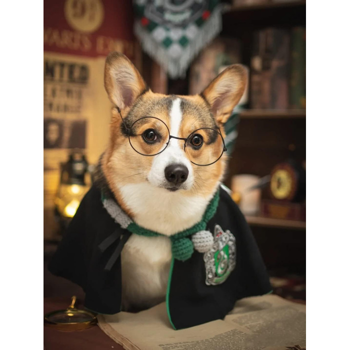 Костюм для собак та котів з окулярами та краваткою, косплей, Slytherin, розмір M