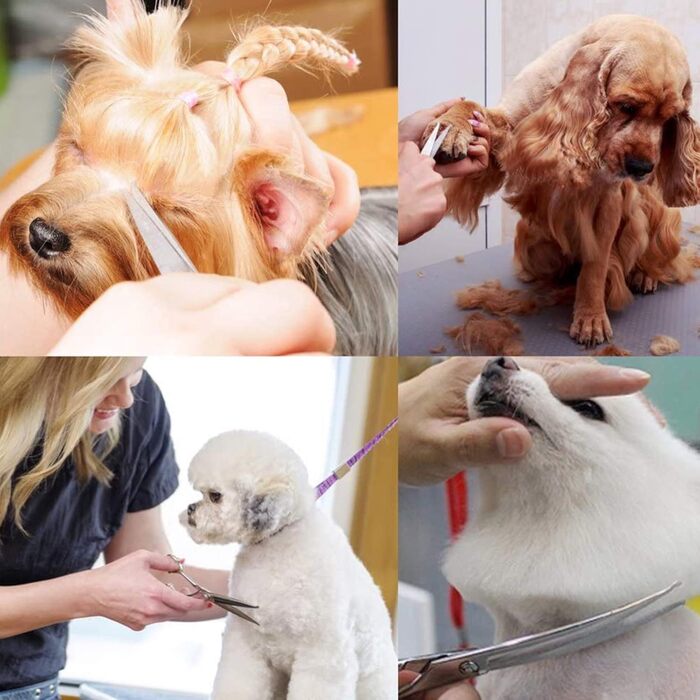 Набір професійних ножиць для грумінгу собак 9CR Edelstahl з безпечними закругленими кінцями. Комплект для догляду за шерстю собак, котів та інших тварин: ножиці для стрижки, розріджування та вирівнювання. Срібний колір.