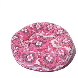 колір: рожево-червона квітка