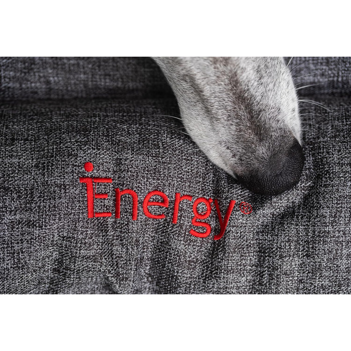 iEnergy GIS: Лежанка для собак на відкритому повітрі, зручна для відпочинку, ідеальна для саду, кемпінгу, подорожей та прогулянок