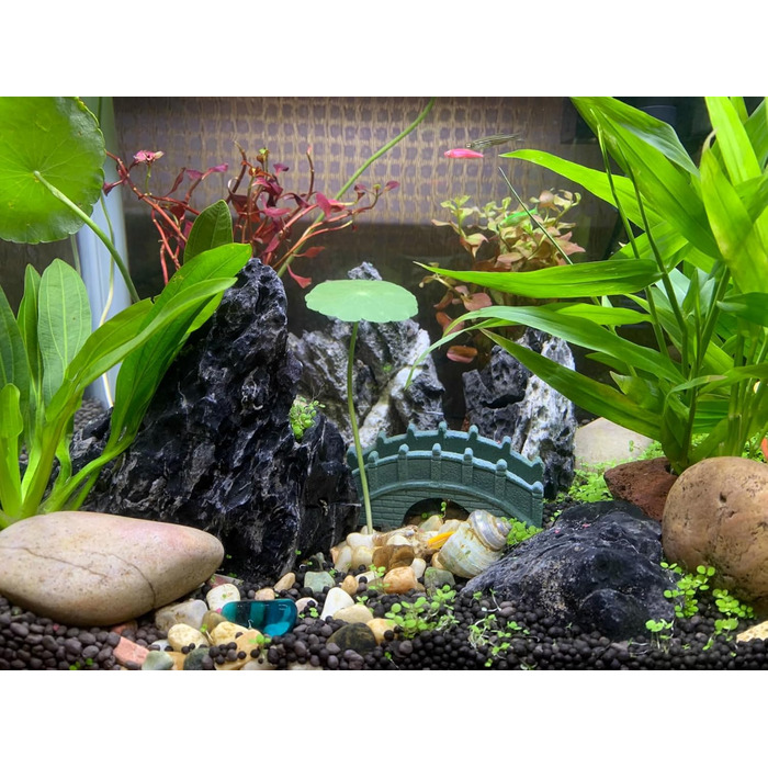 Натуральний камінь Seiryu-Felsenstein 11 LB для акваріума, декор з натурального сланцю 3-8 дюймів для акваріумів, ландшафтного дизайну, мініатюрних садів, феєричних композицій