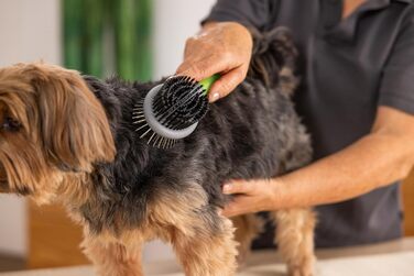 Двостороння щітка Wahl для собак і котів 2 в 1, професійний догляд, видаляє ковтуни, зелена