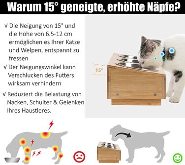 Набір мисок для котів JUJOYBD 3 шт. - підняті миски з нержавіючої сталі, кут нахилу 15°, ергономічна станція для годування котів та маленьких собак