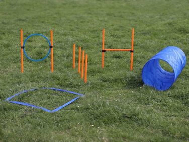 Набір для аджиліті Lemodo для малих та середніх собак | Набір для дресирування з бар'єрами, тунелем та кільцем | Початковий набір для собачого спорту