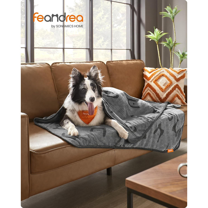 Ковдра для собак Feandrea, 3 шт. в наборі, XL (152 x 127 см), фланель, сірий, захист дивану, для середніх та великих собак