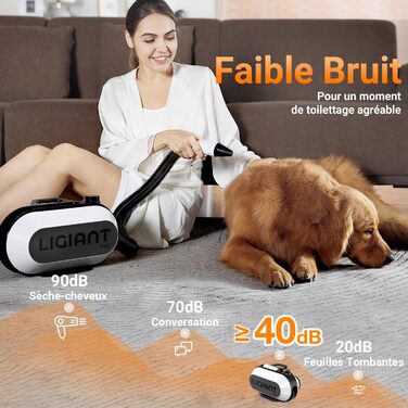 Фен для собак P40, тихий (40 дБ), 3 насадки, регулювання швидкості та температури, іонізація, портативний, для собак та котів, чорний