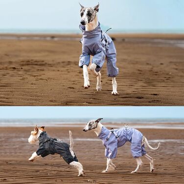 Дощовик для собак маленьких та середніх порід, регульований, з 4-ма лапами, водонепроникний, вітронепроникний, світловідбиваючий, розмір M, фіолетовий