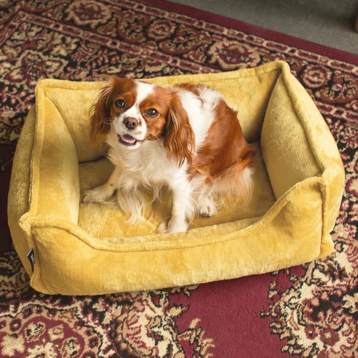 Ортопедичне ліжко для собак 4L Textil IRIS Premium-LINE, жовте, 80x60 см, з Memory Foam