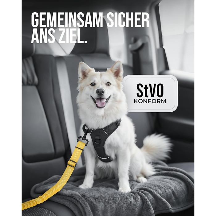 Автогурт для собак 'Argo' – регульований, з амортизацією та ISOFIX, для всіх порід (S, жовтий, 35-45 см)