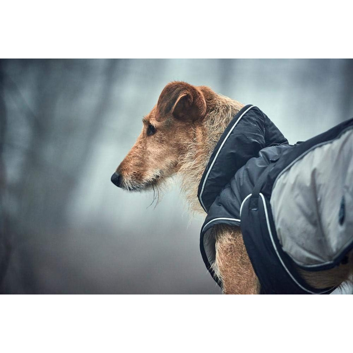 HUNTER Uppsala Extreme: зимовий непромокальний одяг для собак, чорний/сірий, 52-58/71-86 см