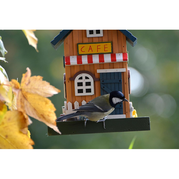 Дім для птахів Dobar® 25119FSC - дерев'яна годівниця для птахів у стилі Вестерн, 18x18x23 см, кольоровий (кафе)