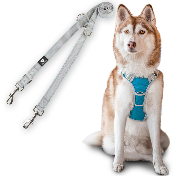 Набір повідка та шлейки для собак – дихаючий, регульований, з м'якою підкладкою та світловідбиваючими елементами – для великих та середніх собак (Синій, XL (76-101 см обхват грудей))