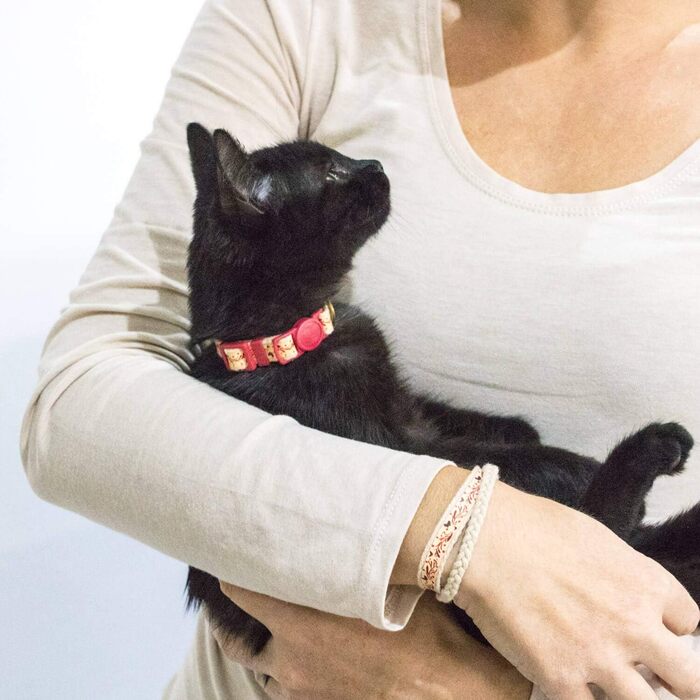 Набір ошийник та браслет для котів Pettsie, безпечний дизайн, бавовна, регульований розмір 19-29 см (12,7-20,3 см), червоний