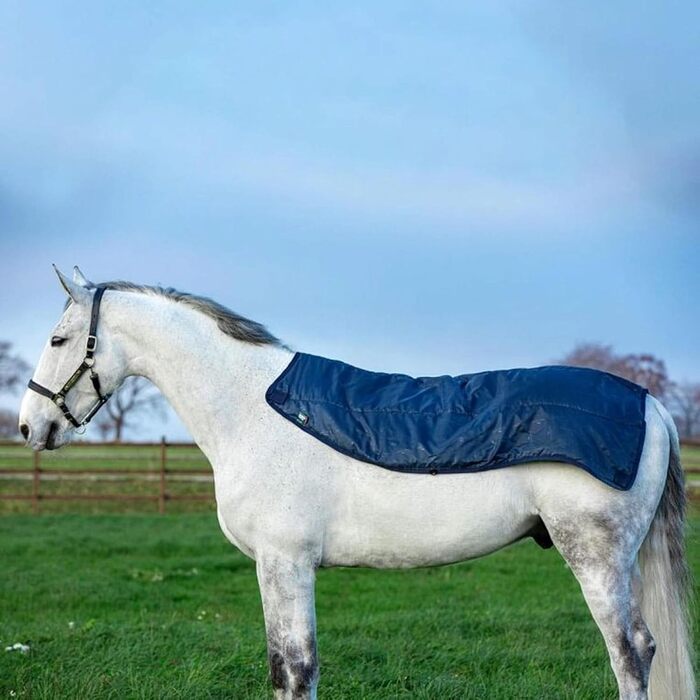 Літня водонепроникна попона Horseware Rambo для коня, 0г, 155 см, синя/сіра