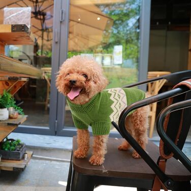 Теплий пуловер для собак Queenmore, для маленьких порід (Даксель, Французький бульдог), в'язаний, флісовий, зелений, XS