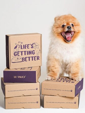 Таця для собак LE TAUCI з кераміки, антислизька таця для середніх та маленьких собак, повільне годування та розваги, таця для їжі з неслизьким дизайном (Лабіринт, фіолетовий, S-350 мл)