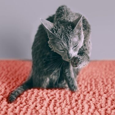 Килимок для котячого туалету CatGuru, розмір M, XL, вологостійкий, неслизький, машинне прання, м'який, аксесуари для котів