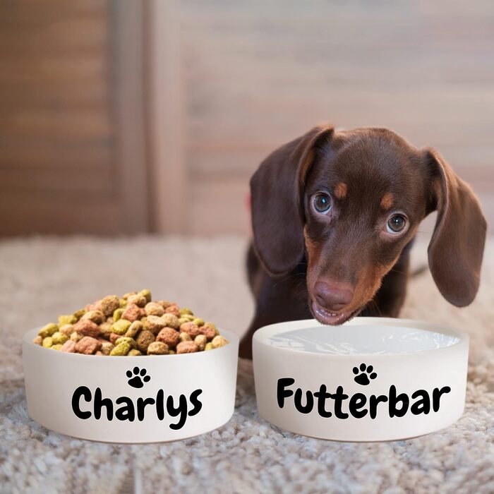 Керамічний подвійний набір мисок з іменем або текстом для собак та котів - персоналізований набір мисок з/без підставки | миска для собак, миска для корму, годівниця | великі та маленькі тварини, годівниця (2x500мл)