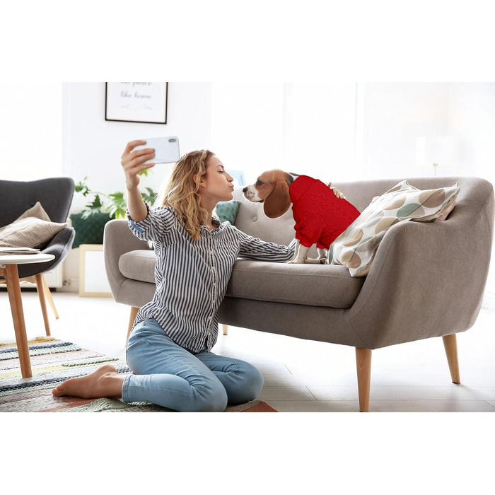 Теплий в'язаний собачий светр з коміром-гетром, однотонний, для цуценят та собак середніх розмірів (зелений, розмір S/M)