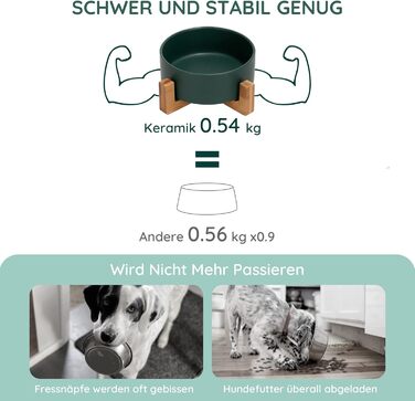 Миска для котів та маленьких собак SPUNKYJUNKY з бамбукового підставки (400 мл, зелена)