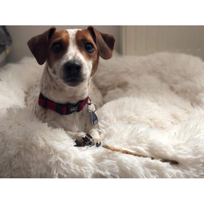 Кругле ліжко для собак великого розміру з двостороннім подушкою M~XXL, для дому та на вулицю, миється та водонепроникне (80x80 см, білий)