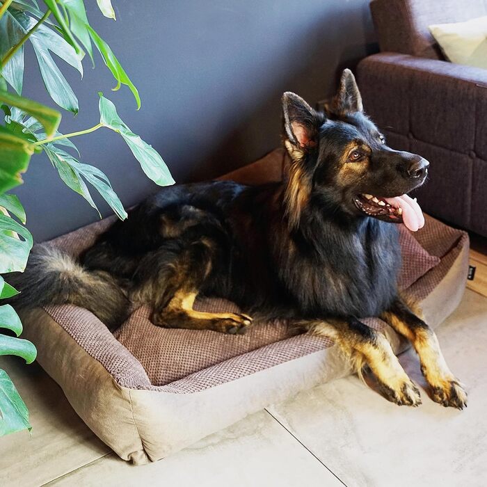 4L Textil Teo: М'яке ліжко для собак, корзина для собак середнього розміру, знімний та пральний чохол (100x80 см, Коричневий)