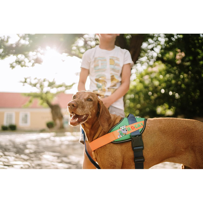 Шлейка для собак Julius K-9 Paw Patrol, розмір XL/2, Rocky