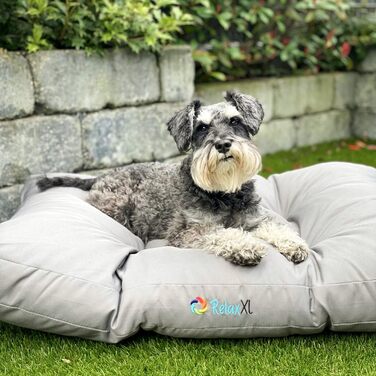 Легке собаче ліжко MAILO M, тауп, 75x50 см, зручна наповнювач з волокон, пральне, стабільне MAILO Тауп
