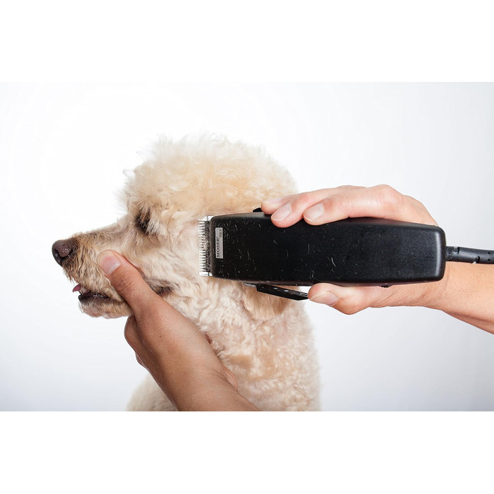 Професійна машинка для стрижки тварин Moser Rex 1230 для середніх собак (стара версія)