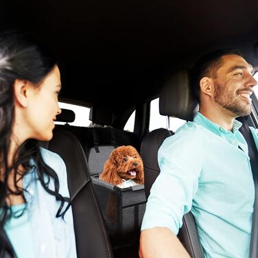 Автокрісло для собак: стабільне, водовідштовхувальне, для маленьких та середніх порід, сірий каркас