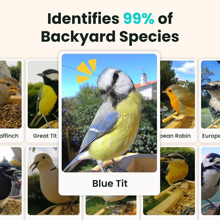 Розумна годівниця для птахів Birdfy з камерою 1080P, сонячною панеллю та ШІ-розпізнаванням 6000+ видів птахів, водонепроникна дерев'яна годівниця з App Live-переглядом