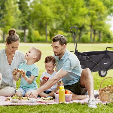 LifeGoods Фарбована візок-тачка, складаний садовий/пляжний візок, чорний – 98x45 см, 94L