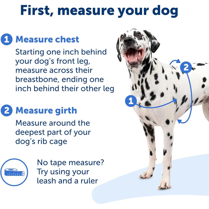 Шлея для собак PetSafe Deluxe Easy Walk, преміум
