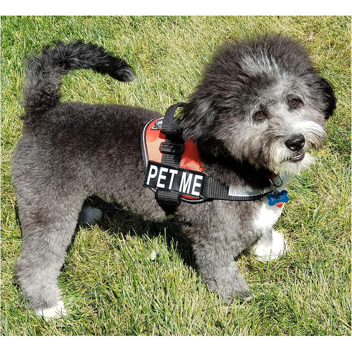 Шлея для собак Pet Me, нейлонова, з 2 світловідбиваючими знімними нашивками