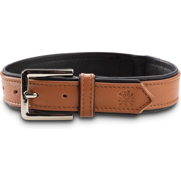 Преміум шкіряний нашийник для собак Jack Russell Lilly - нашийник з натуральної шкіри телятини, нашийник для собак, шкіряний (XXL, Коричневий/Чорний) XXL - обхват шиї 49,0-60,5 см Коричневий/Чорний