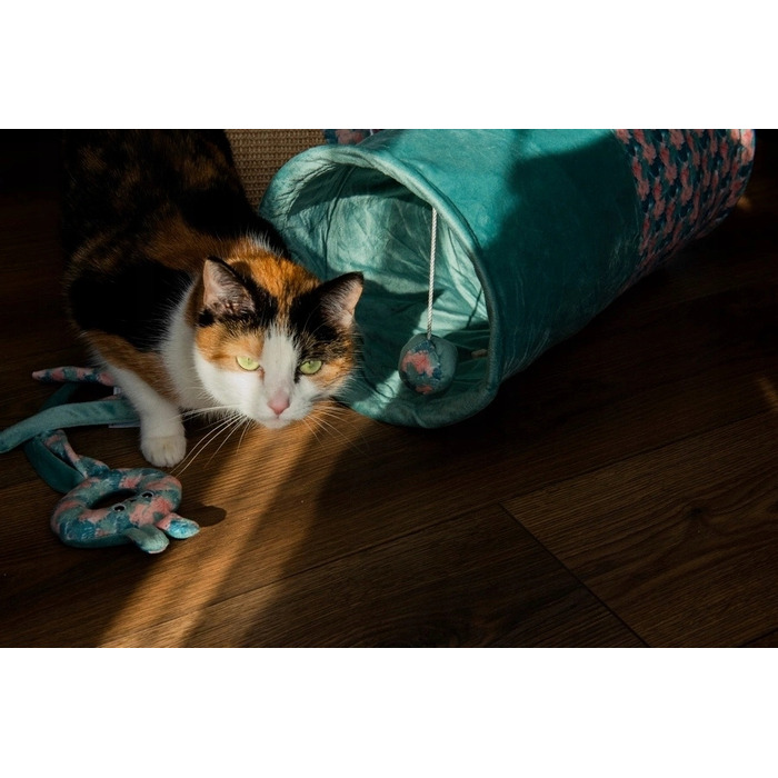 Тунель для котів ZOLUX ETHICAT з іграшкою