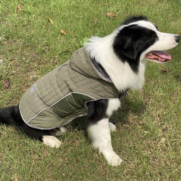 Зимова куртка для собак, теплий пуховик-мантія для тварин, костюм для лижного спорту, тепла жилетка з капюшоном, розмір M (43-53 см), зелений
