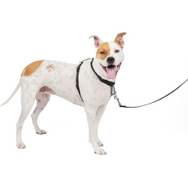 PetSafe 3-в-1 шлея для собак з ременем безпеки, зменшує тягу та тиск на шию, розмір M, чорна