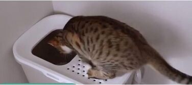 SAVIC Katzentoilette Hop In з високим входом (бежево-білий)
