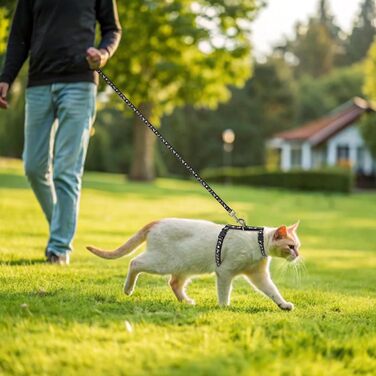 Шлейка для кота PAWCHIE з повідком та нашийником, вихідний замок, регульована, світиться в темряві, для кошенят, прогулянки на вулиці, чорний, середній