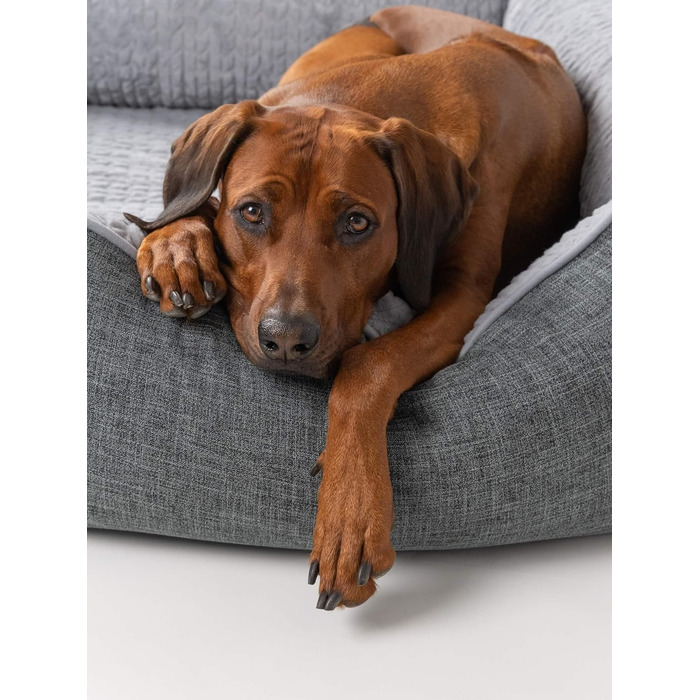 TrendPet VitaBed сірий - ортопедичне преміум собаче ліжко з матрацом з Memory Foam 5 см (120x100 см)