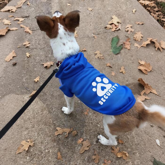 Світшот для собак, теплий пуловер для тварин на осінь/зиму, одяг для маленьких, середніх собак та котів (2XL, Navy Blue)